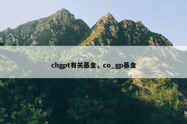 chgpt有关基金，co_gp基金