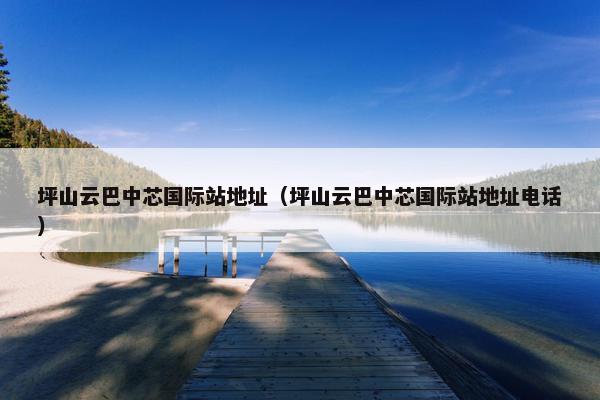 坪山云巴中芯国际站地址（坪山云巴中芯国际站地址电话）