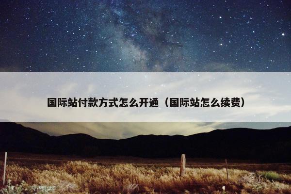 国际站付款方式怎么开通（国际站怎么续费）