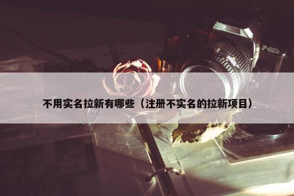 不用实名拉新有哪些（注册不实名的拉新项目）