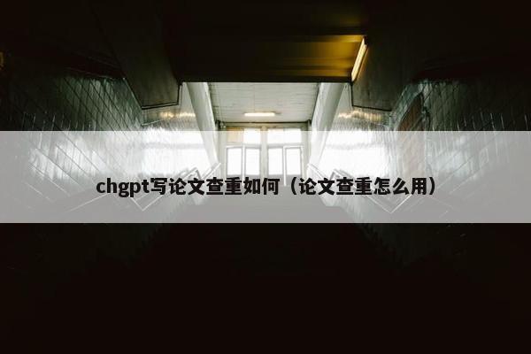 chgpt写论文查重如何（论文查重怎么用）