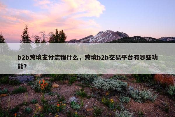b2b跨境支付流程什么，跨境b2b交易平台有哪些功能?