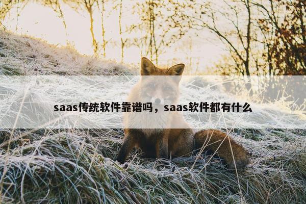 saas传统软件靠谱吗，saas软件都有什么