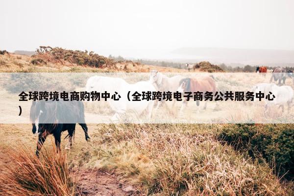 全球跨境电商购物中心（全球跨境电子商务公共服务中心）