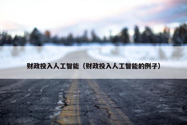 财政投入人工智能（财政投入人工智能的例子）