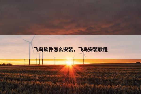 飞鸟软件怎么安装，飞鸟安装教程