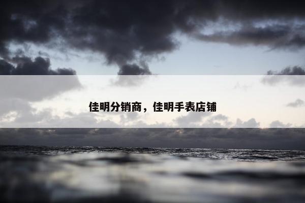 佳明分销商，佳明手表店铺