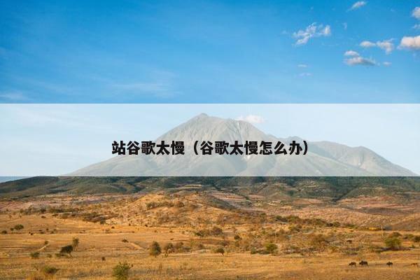 站谷歌太慢（谷歌太慢怎么办）