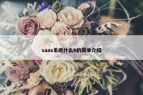 saas系统什么6的简单介绍