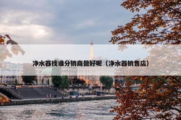 净水器找谁分销商做好呢（净水器销售店）