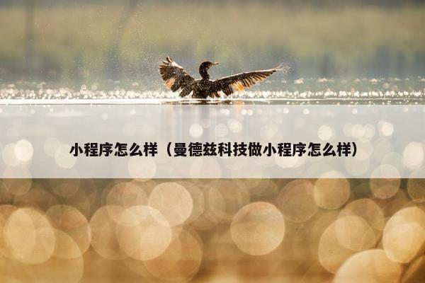 小程序怎么样（曼德兹科技做小程序怎么样）