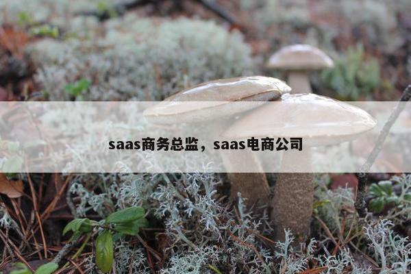 saas商务总监，saas电商公司
