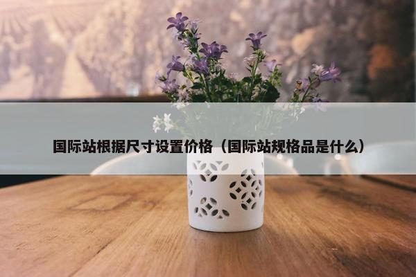 国际站根据尺寸设置价格（国际站规格品是什么）