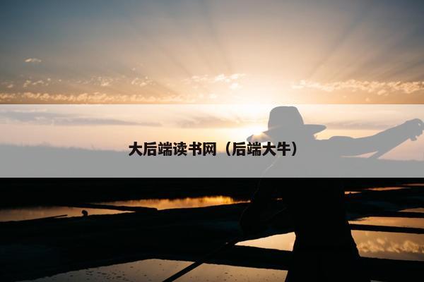 大后端读书网（后端大牛）