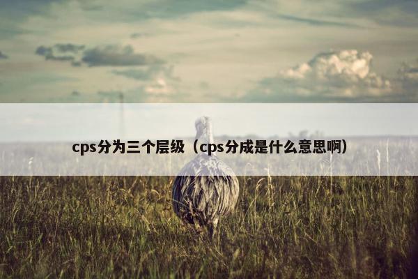 cps分为三个层级（cps分成是什么意思啊）