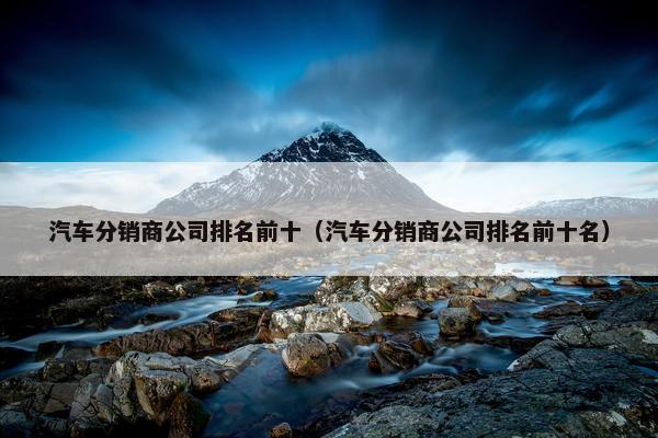汽车分销商公司排名前十（汽车分销商公司排名前十名）