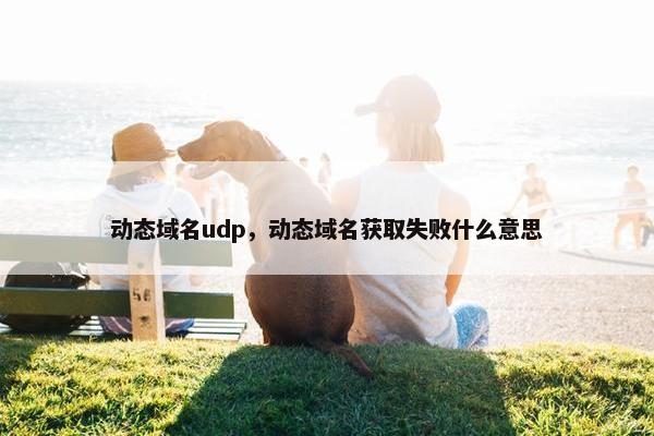 动态域名udp，动态域名获取失败什么意思