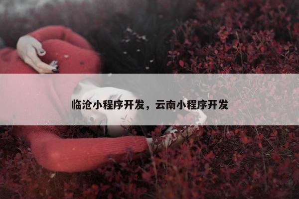 临沧小程序开发，云南小程序开发