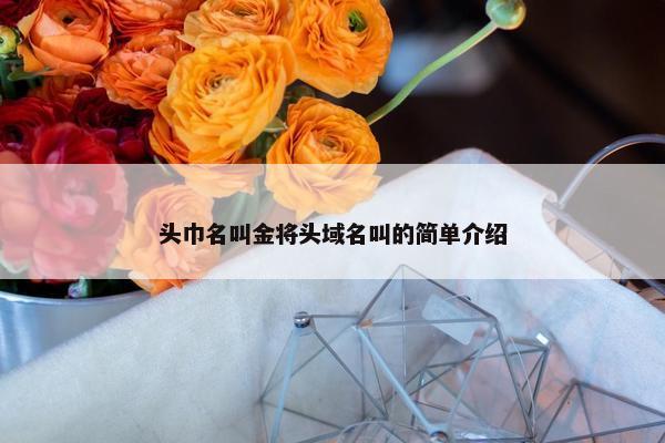 头巾名叫金将头域名叫的简单介绍