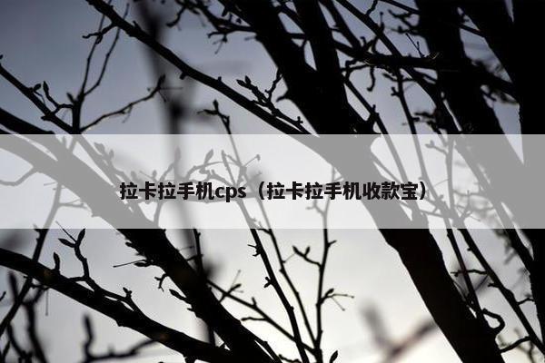 拉卡拉手机cps（拉卡拉手机收款宝）