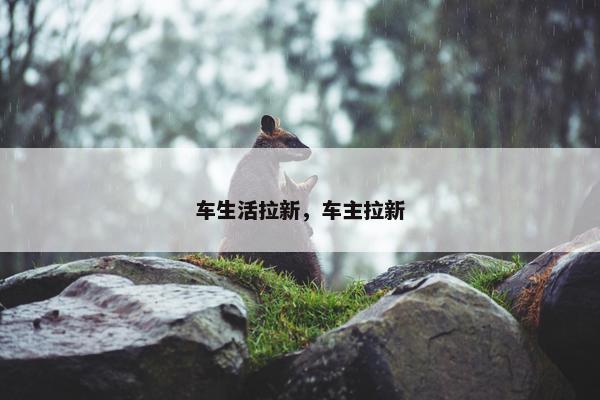 车生活拉新，车主拉新
