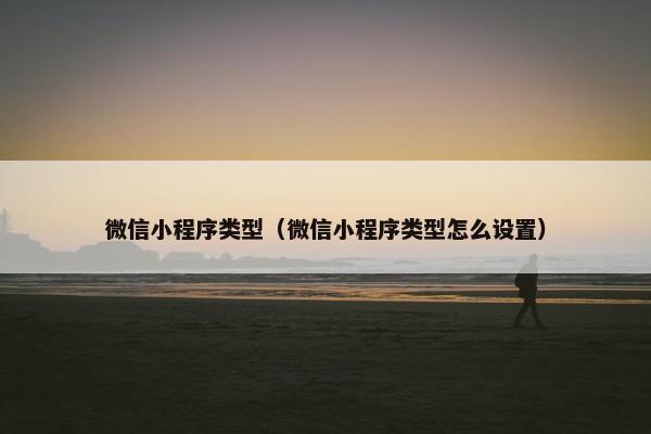 微信小程序类型（微信小程序类型怎么设置）