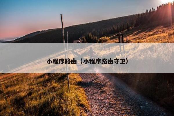 小程序路由（小程序路由守卫）
