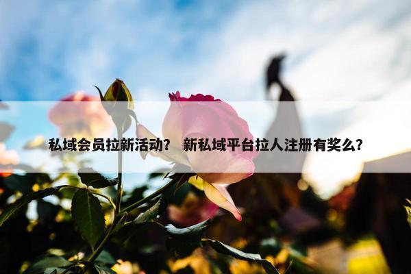 私域会员拉新活动？ 新私域平台拉人注册有奖么？