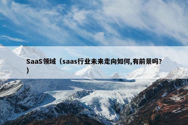 SaaS领域（saas行业未来走向如何,有前景吗?）