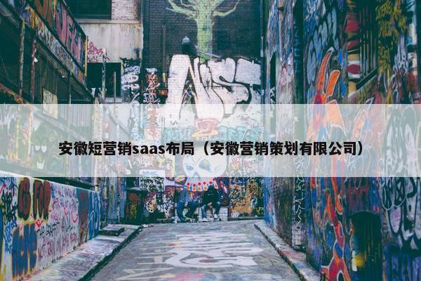 安徽短营销saas布局（安徽营销策划有限公司）