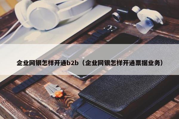 企业网银怎样开通b2b（企业网银怎样开通票据业务）
