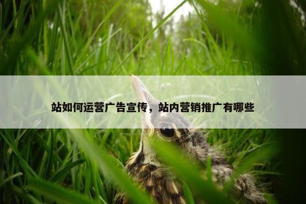 站如何运营广告宣传，站内营销推广有哪些