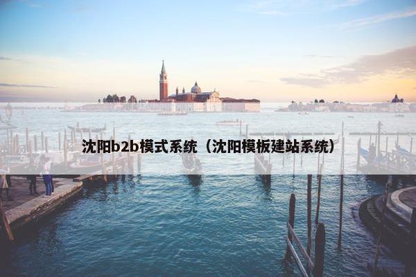 沈阳b2b模式系统（沈阳模板建站系统）