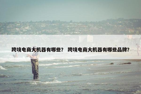 跨境电商大机器有哪些？ 跨境电商大机器有哪些品牌？
