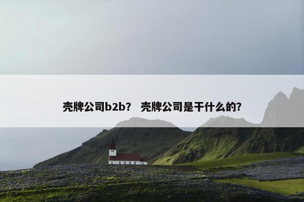 壳牌公司b2b？ 壳牌公司是干什么的？