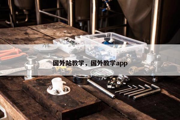 国外站教学，国外教学app