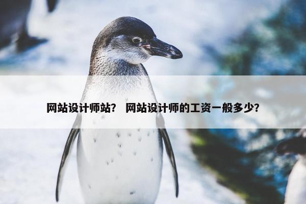 网站设计师站？ 网站设计师的工资一般多少？