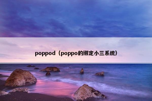 poppod（poppo的绑定小三系统）