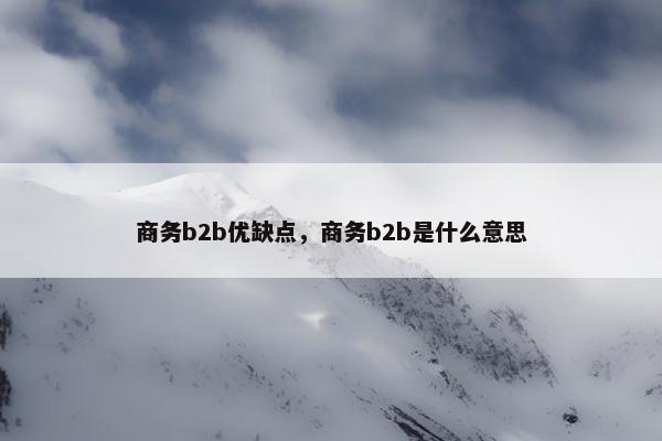 商务b2b优缺点，商务b2b是什么意思