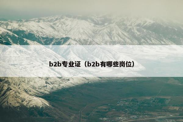 b2b专业证（b2b有哪些岗位）