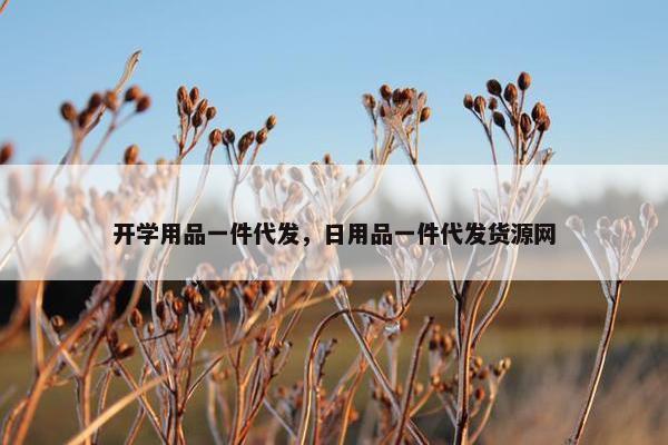 开学用品一件代发，日用品一件代发货源网