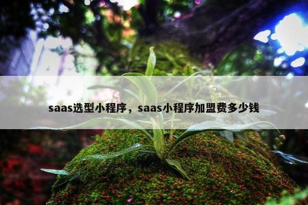 saas选型小程序，saas小程序加盟费多少钱