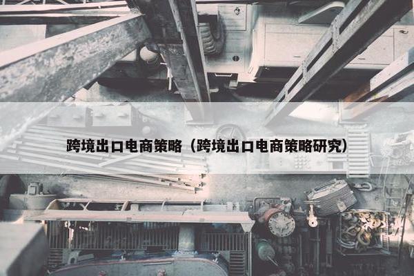 跨境出口电商策略（跨境出口电商策略研究）