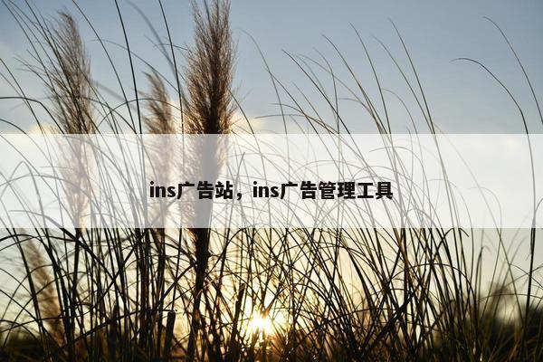 ins广告站，ins广告管理工具