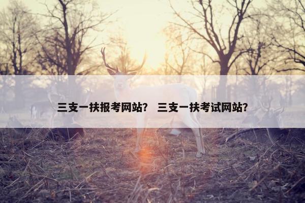 三支一扶报考网站？ 三支一扶考试网站？