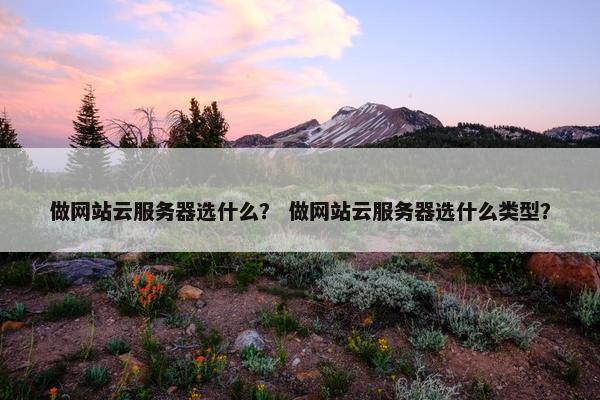做网站云服务器选什么？ 做网站云服务器选什么类型？