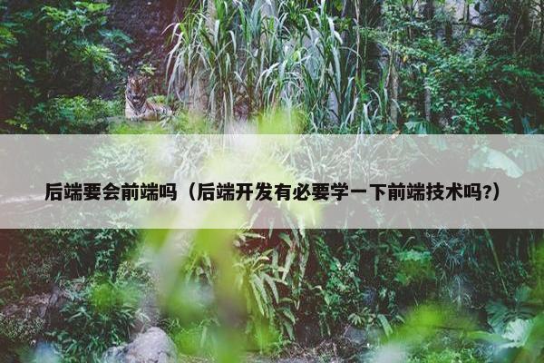 后端要会前端吗（后端开发有必要学一下前端技术吗?）