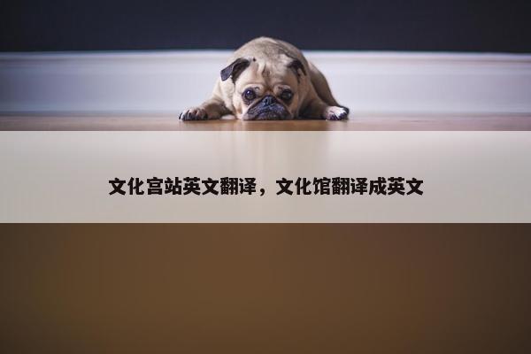 文化宫站英文翻译，文化馆翻译成英文
