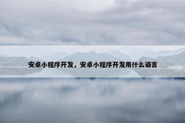 安卓小程序开发，安卓小程序开发用什么语言