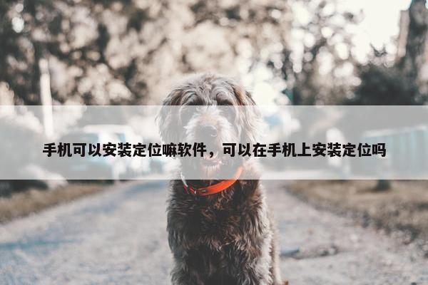 手机可以安装定位嘛软件，可以在手机上安装定位吗
